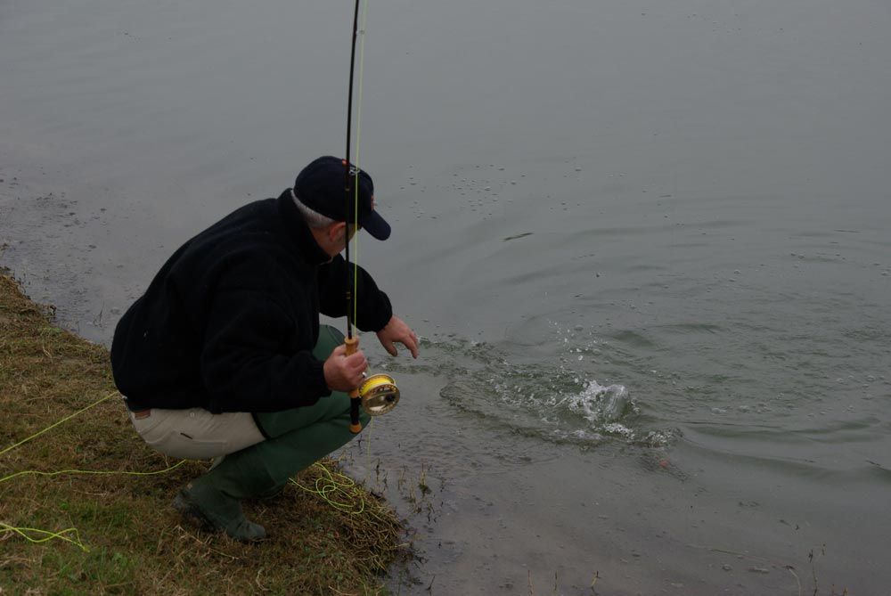 Stage pêche a la mouche - Technique de pêche - Cours - Guide de pêche - Occitanie - USA - Espagne 